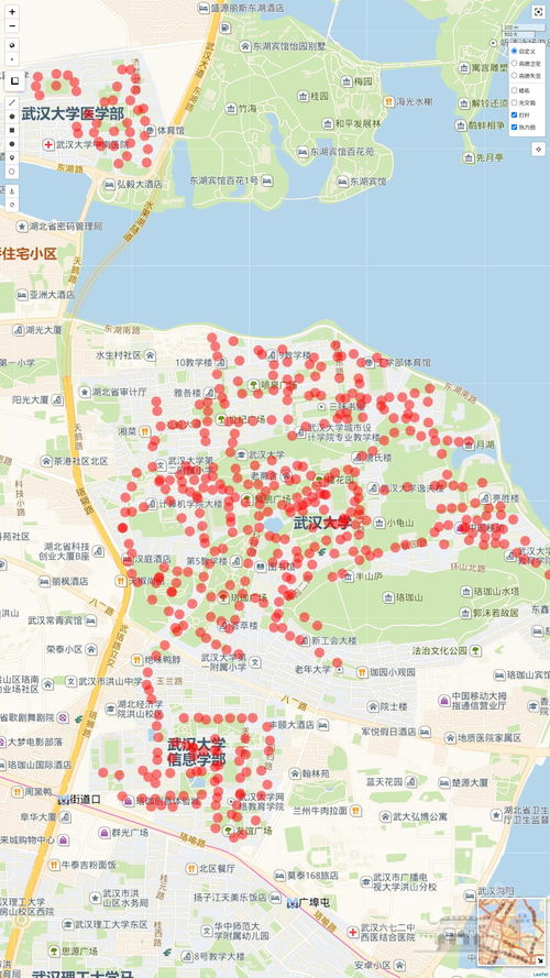以数据赋能 数智武大 高质量发展