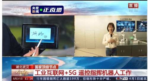 央视 今日中国 专题探秘武汉 国家顶级节点是工业互联网的数据枢纽