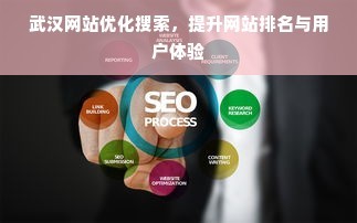 武汉网站优化搜索,提升网站排名与用户体验