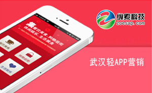 武汉纵索科技发展