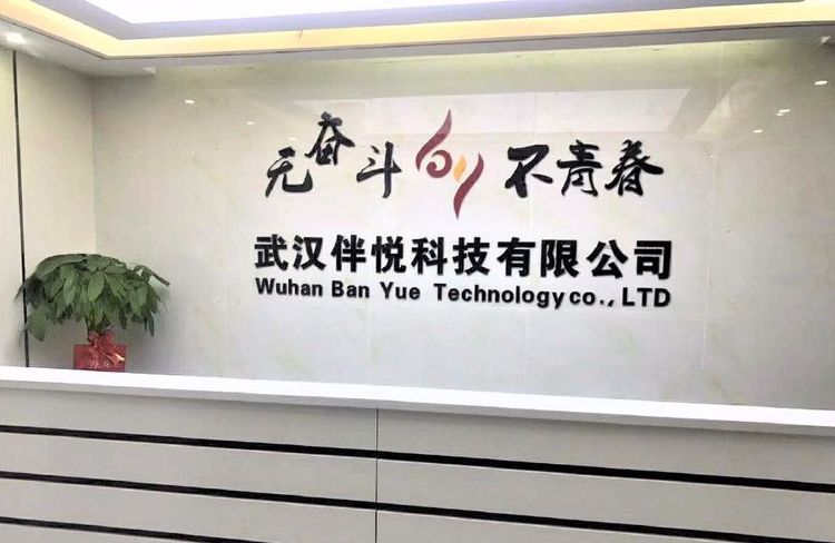 伴悦科技:科技与服务紧密结合 提供信息化解决方案