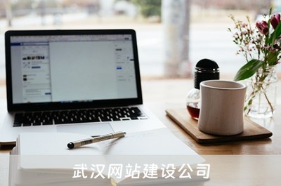 武汉网站建设公司(武汉网站建设公司排行)