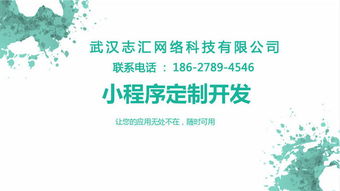 武汉小程序开发定制 引领下一个互联网浪潮