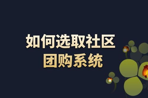 武汉网站建设与小程序开发 金百瑞科技的专业之道